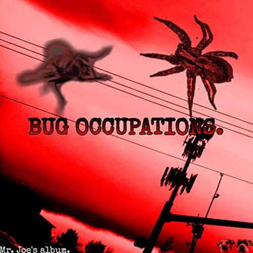 Bug Occupations